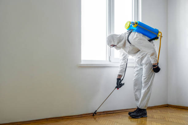 Emergency Pest Control Services in Park Hill, OK